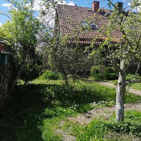 Zielony Domek W Sztynorcie Sztynort Exterior foto