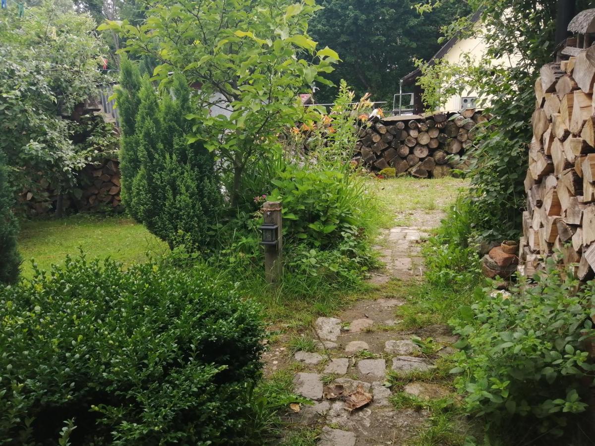 Zielony Domek W Sztynorcie Sztynort Exterior foto