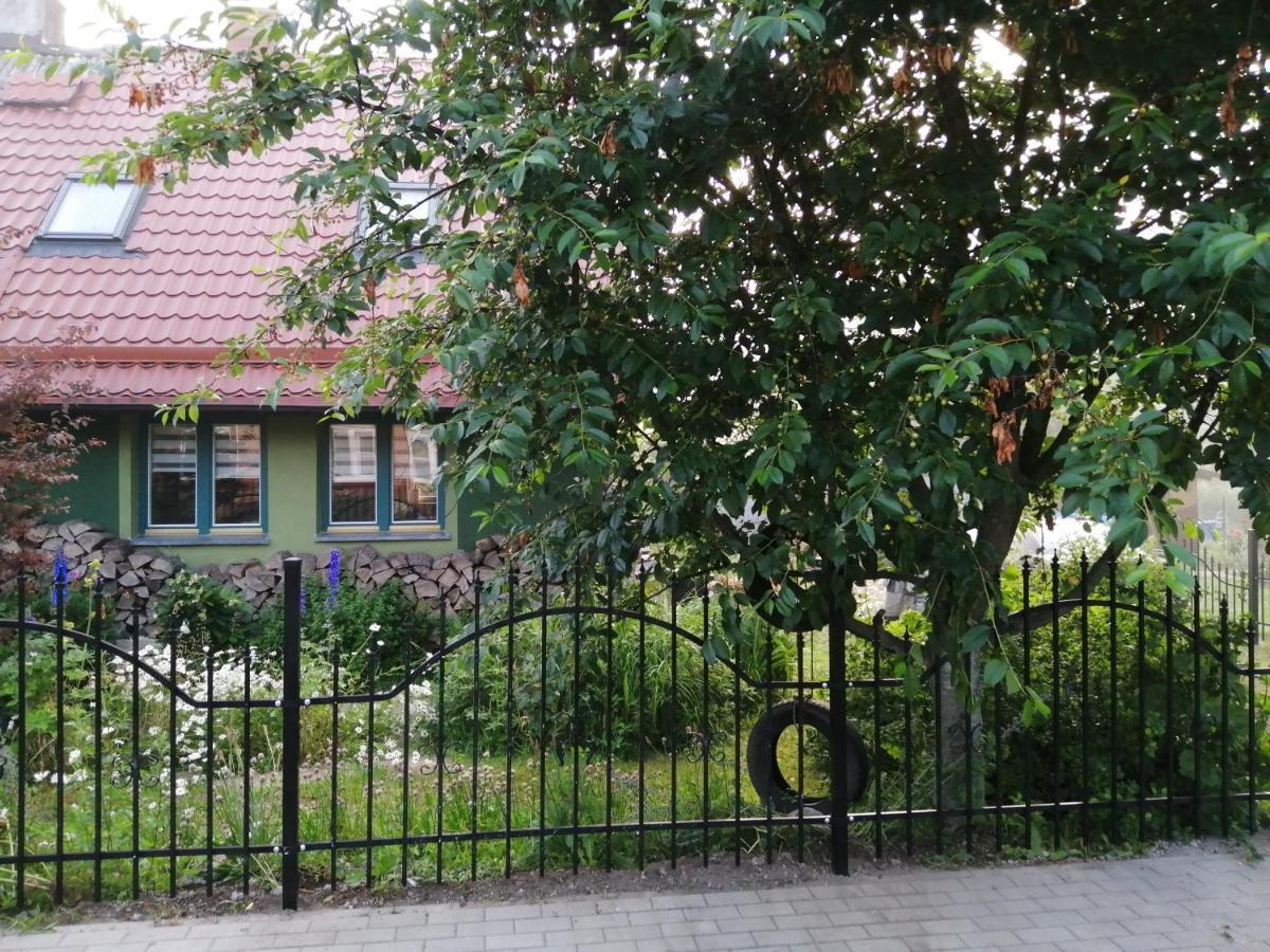 Zielony Domek W Sztynorcie Sztynort Exterior foto