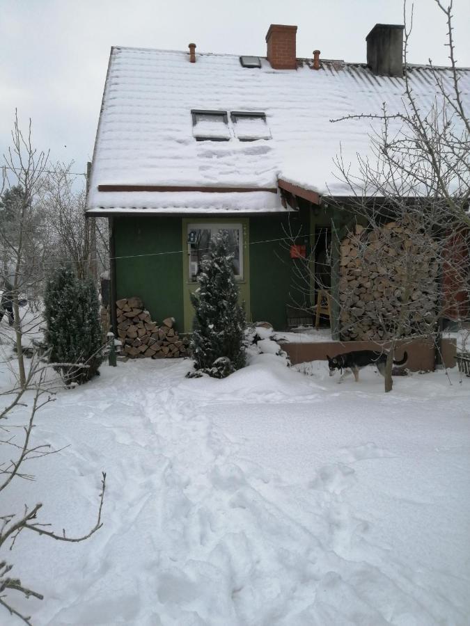 Zielony Domek W Sztynorcie Sztynort Exterior foto