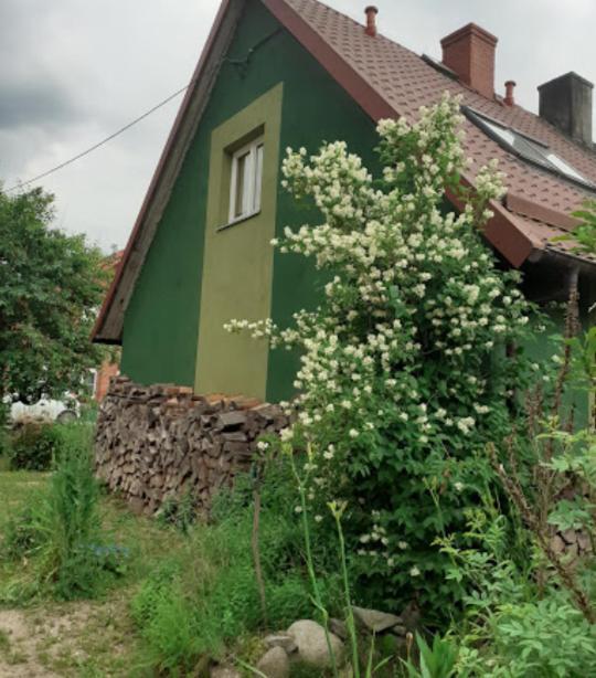 Zielony Domek W Sztynorcie Sztynort Exterior foto